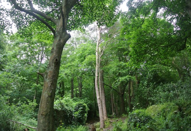 Killiney Hill Car Park Killiney Hill Car Park