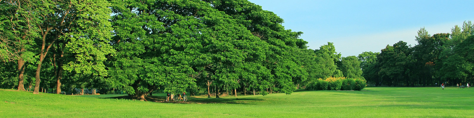 parks and outdoors banner