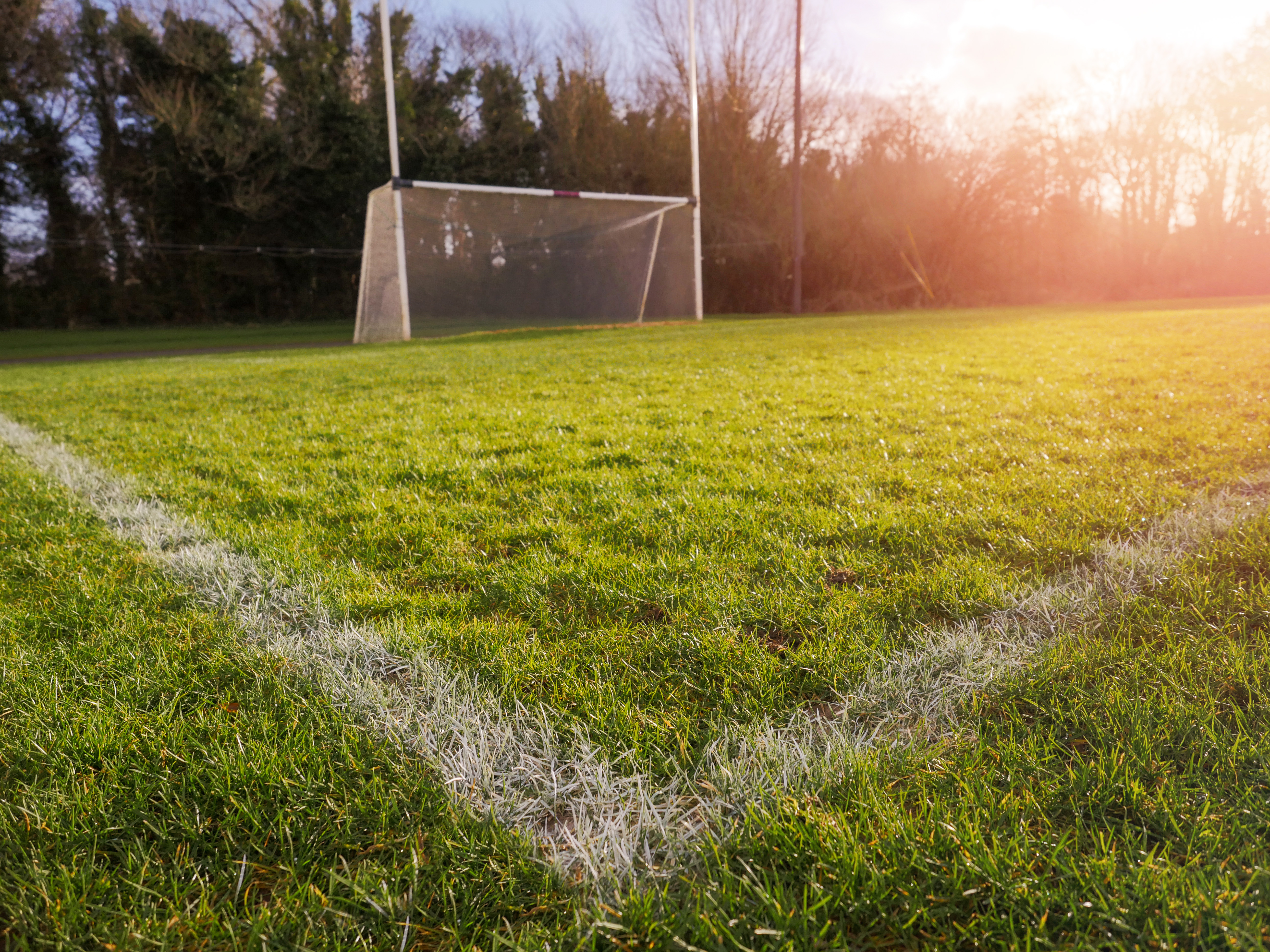 Sports Pitch green grass and goalpost