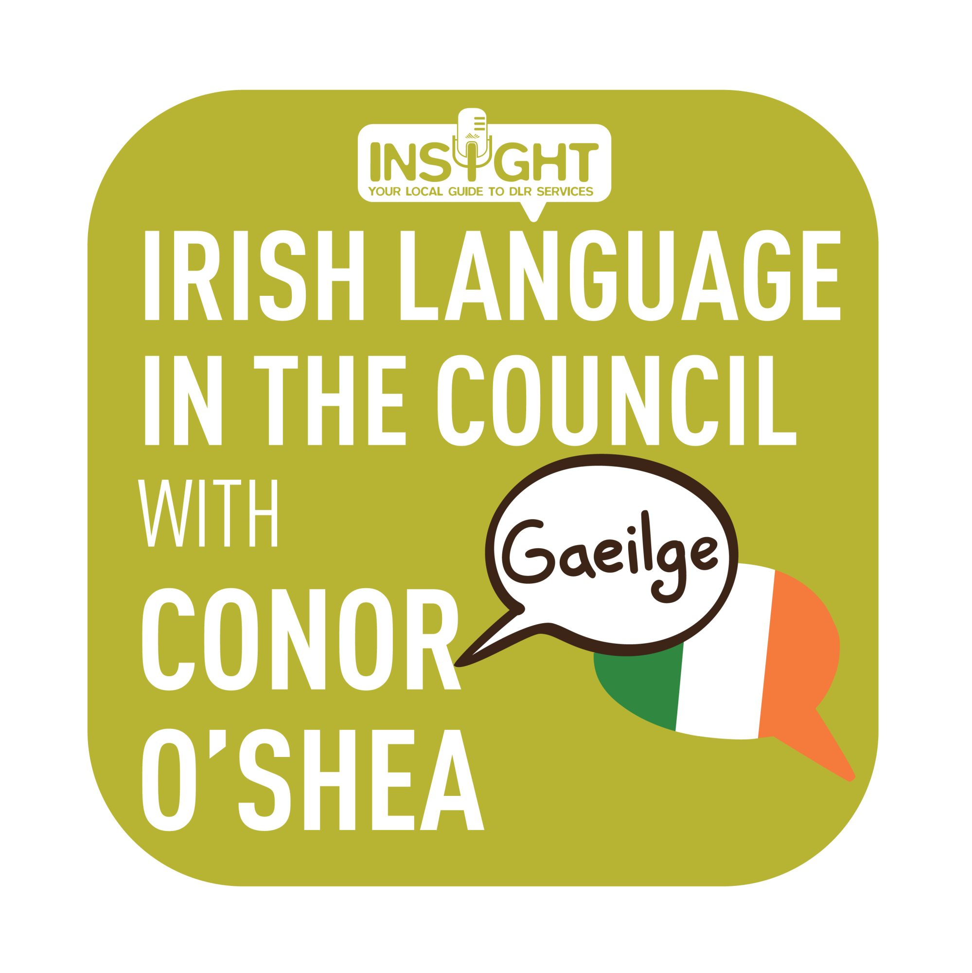 Insight E01 Irish Language