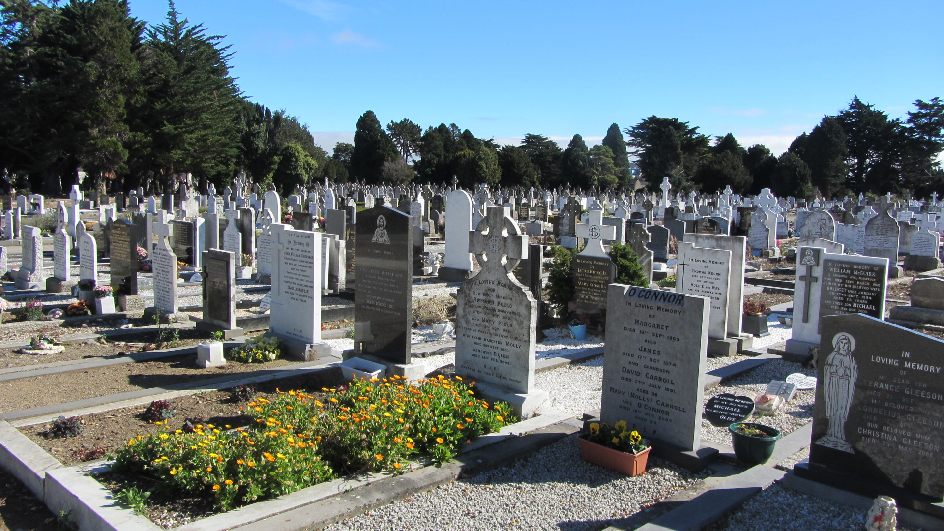 Deansgrange Cemetery Dún LaoghaireRathdown County Council