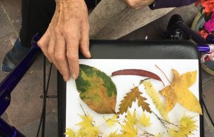 Image of Autumn leaves on a white page of paper