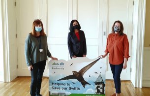 Save Our Swifts