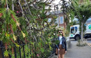 Council requests dlr householders to cut back hedges to ensure road and footpath safety