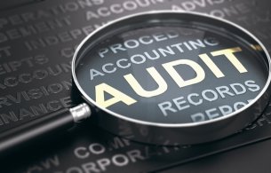 Annual Audit 2021