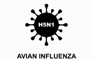 Avian Influenza/Bird Flu - Notice