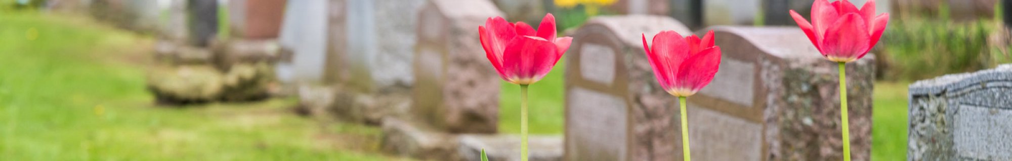 cemeteries banner