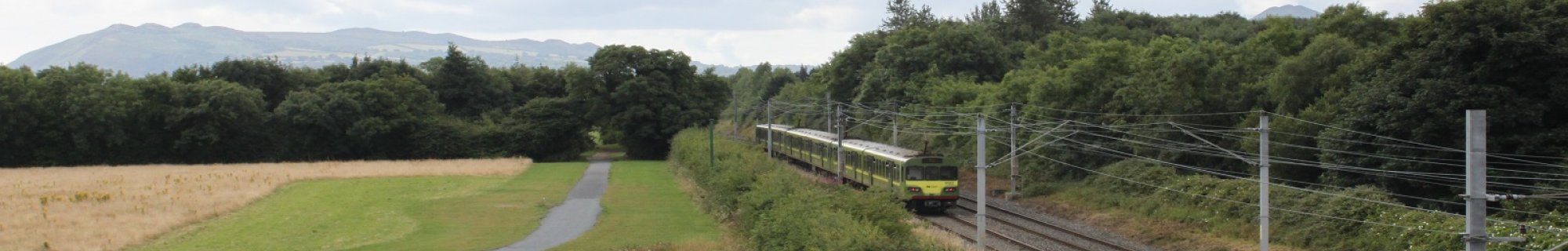 Dart in Shanganagh