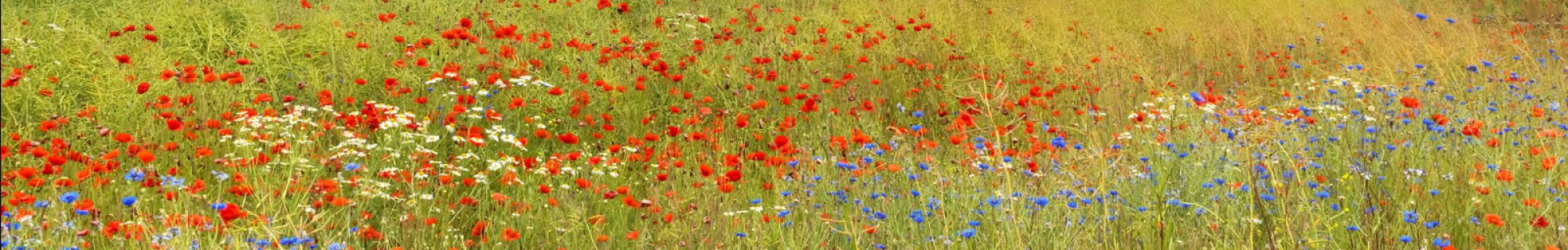 flora and fauna