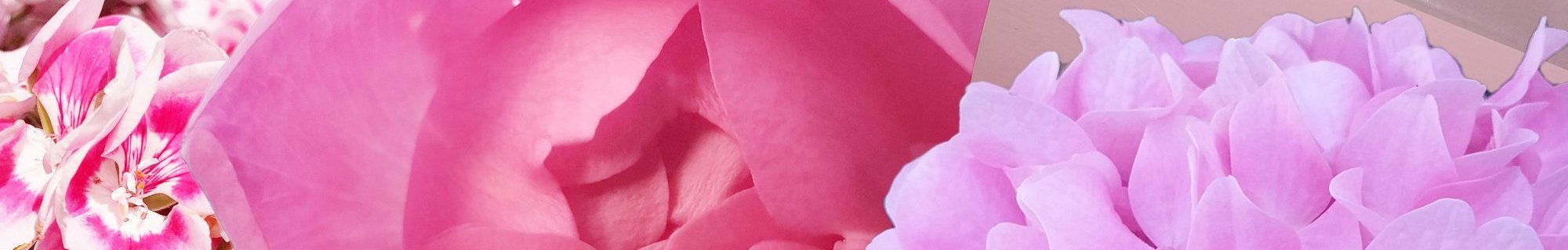 Image of flowers with note attached saying let's stick together