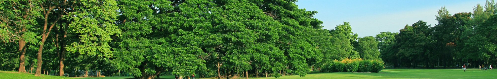 parks and outdoors banner