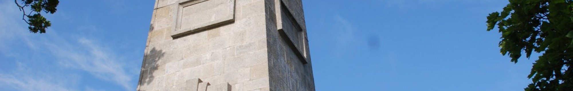 Stillorgan Obelisk