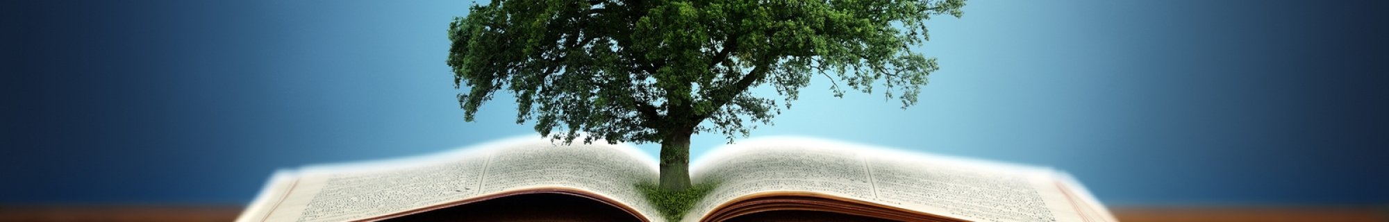 tree of knowledge