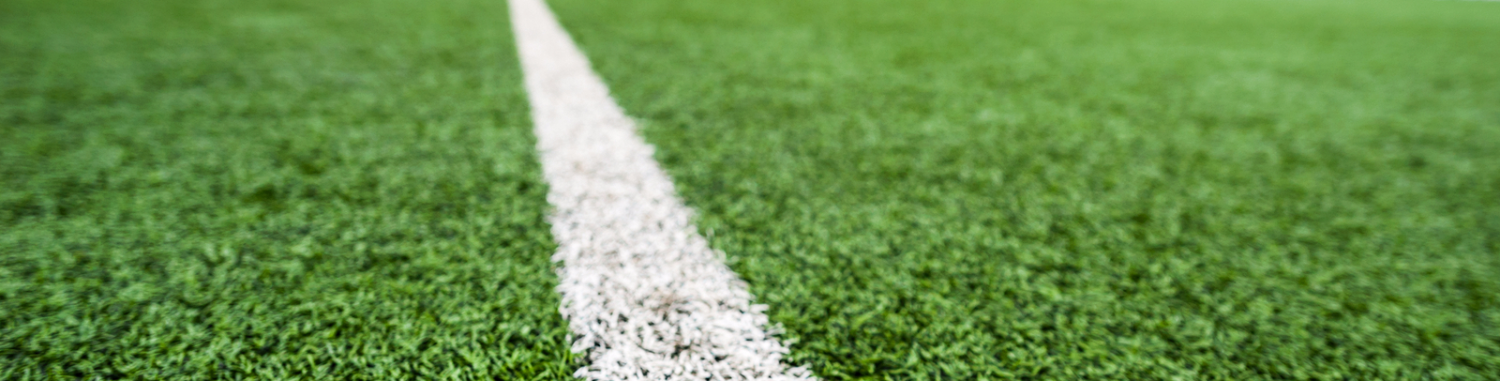 dlr pitches dún laoghaire rathdown county council