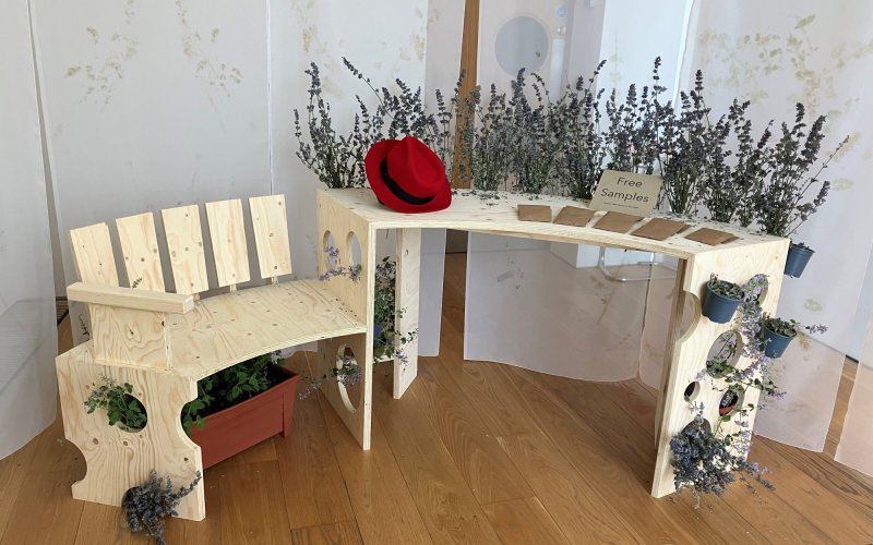 Photograph of the multisensry art installation by Joanna Hopkins, includes an adapted bench, catmint cuttings and a red hat that is attached to an audio player.