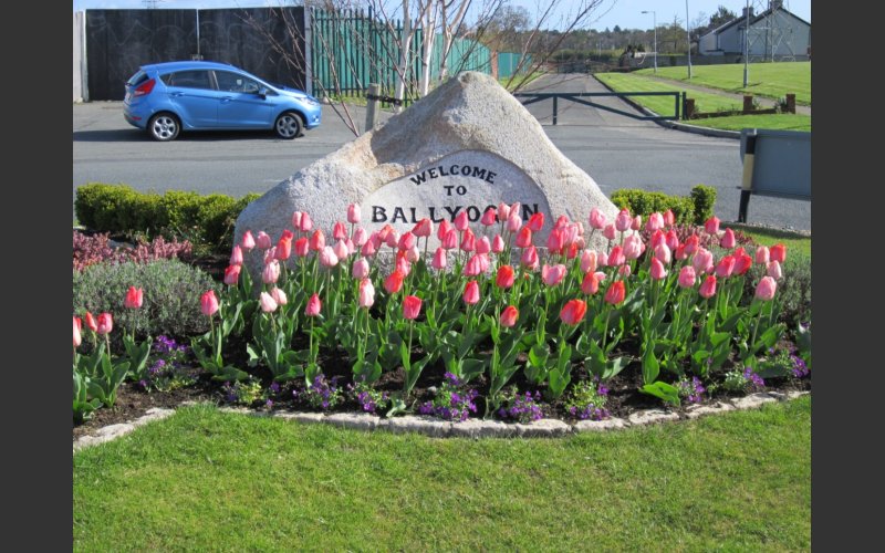 Entrance to Ballyogan Estate
