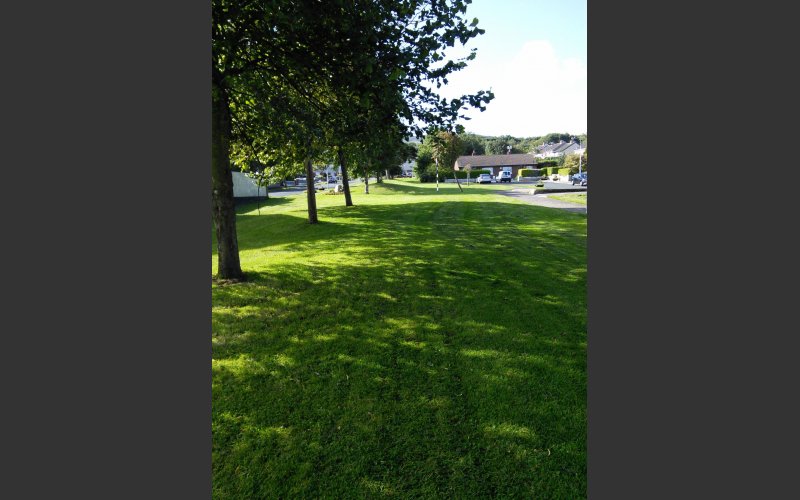 Green area with trees