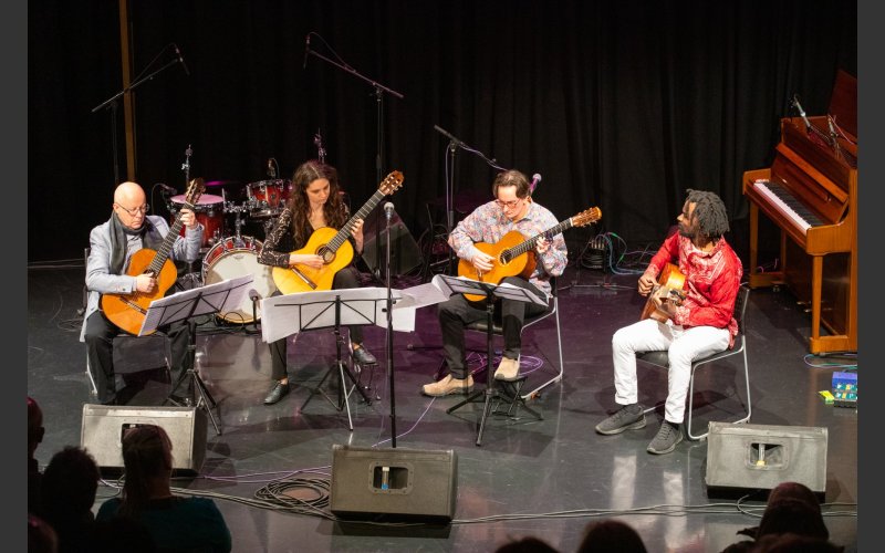 Dún Laoghaire-Rathdown Musician-in-Residence Scheme 2023
