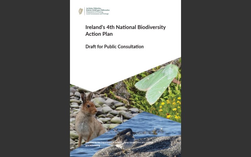 Public Consultation on Ireland’s 4th National Biodiversity Action Plan 