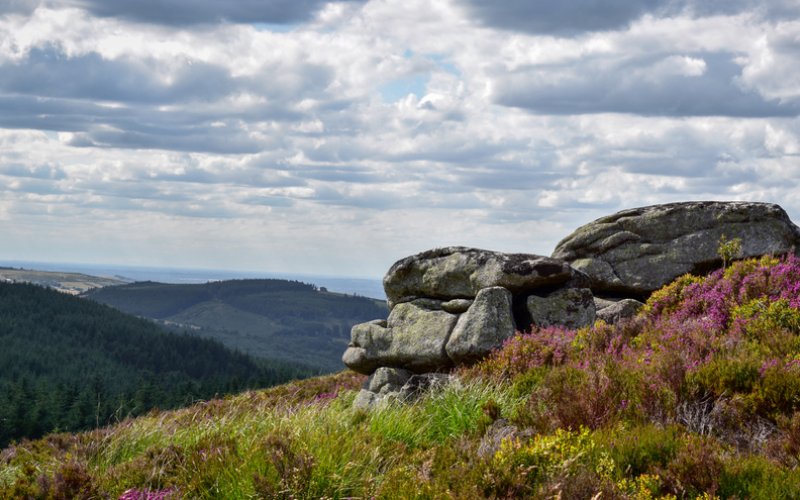 Dublin Mountains Community Archaeologist 