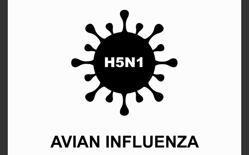 Avian Influenza/Bird Flu - Notice
