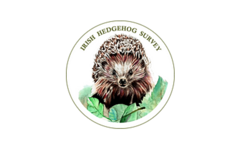dlr Biodiversity Event - Irish Hedgehog Survey Volunteers