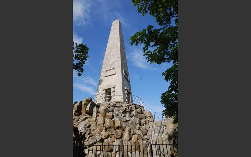 Stillorgan Obelisk