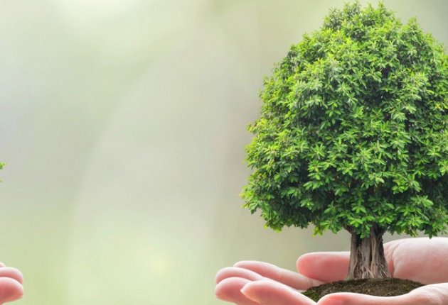 Biodiversity