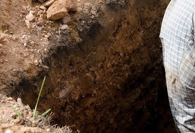 grave digger