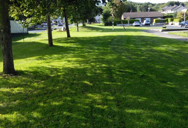 Green area with trees