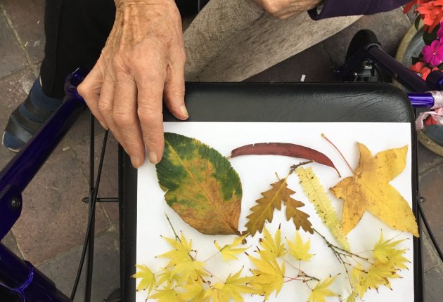 Image of Autumn leaves on a white page of paper