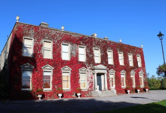 Cabinteely House