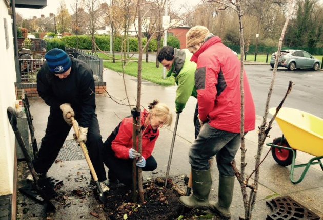 Planting at tree