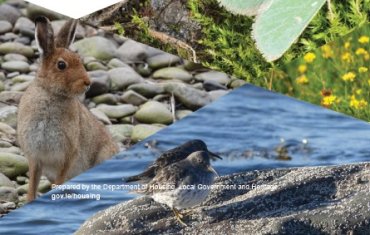 Public Consultation on Ireland’s 4th National Biodiversity Action Plan 