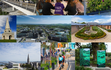 LECP collage 