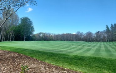Marlay Putting Green