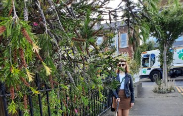 Council requests dlr householders to cut back hedges to ensure road and footpath safety