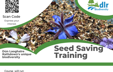 dlr Biodiversity Seed Saving Course 