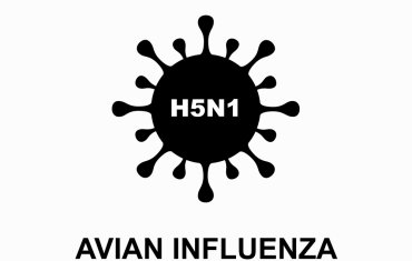 Avian Influenza/Bird Flu - Notice
