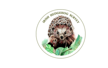 dlr Biodiversity Event - Irish Hedgehog Survey Volunteers