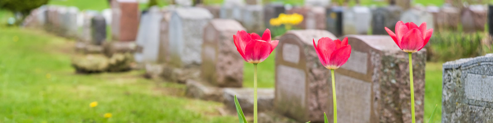 cemeteries banner