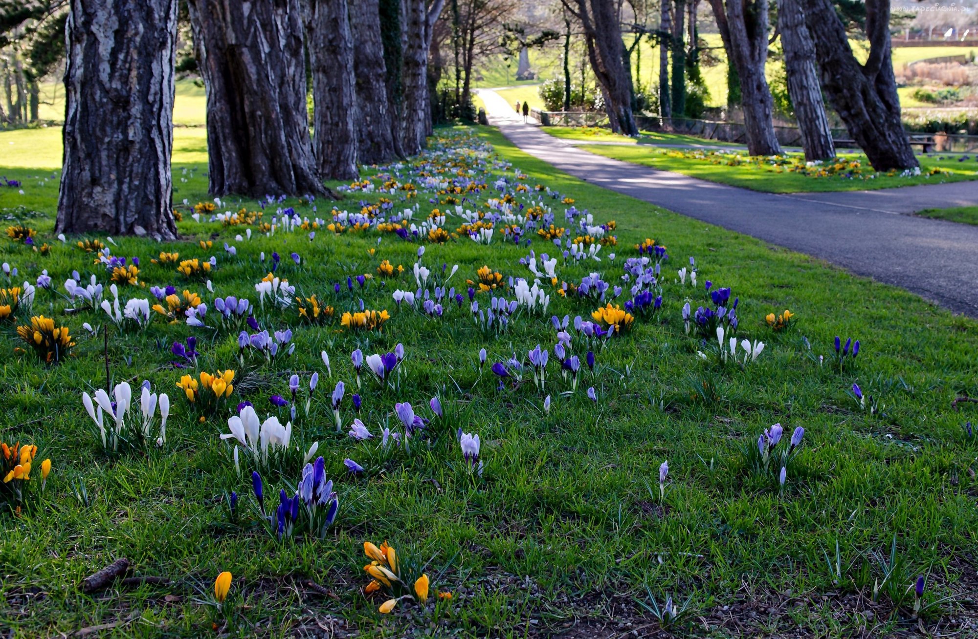 cabinteely_park_dublin