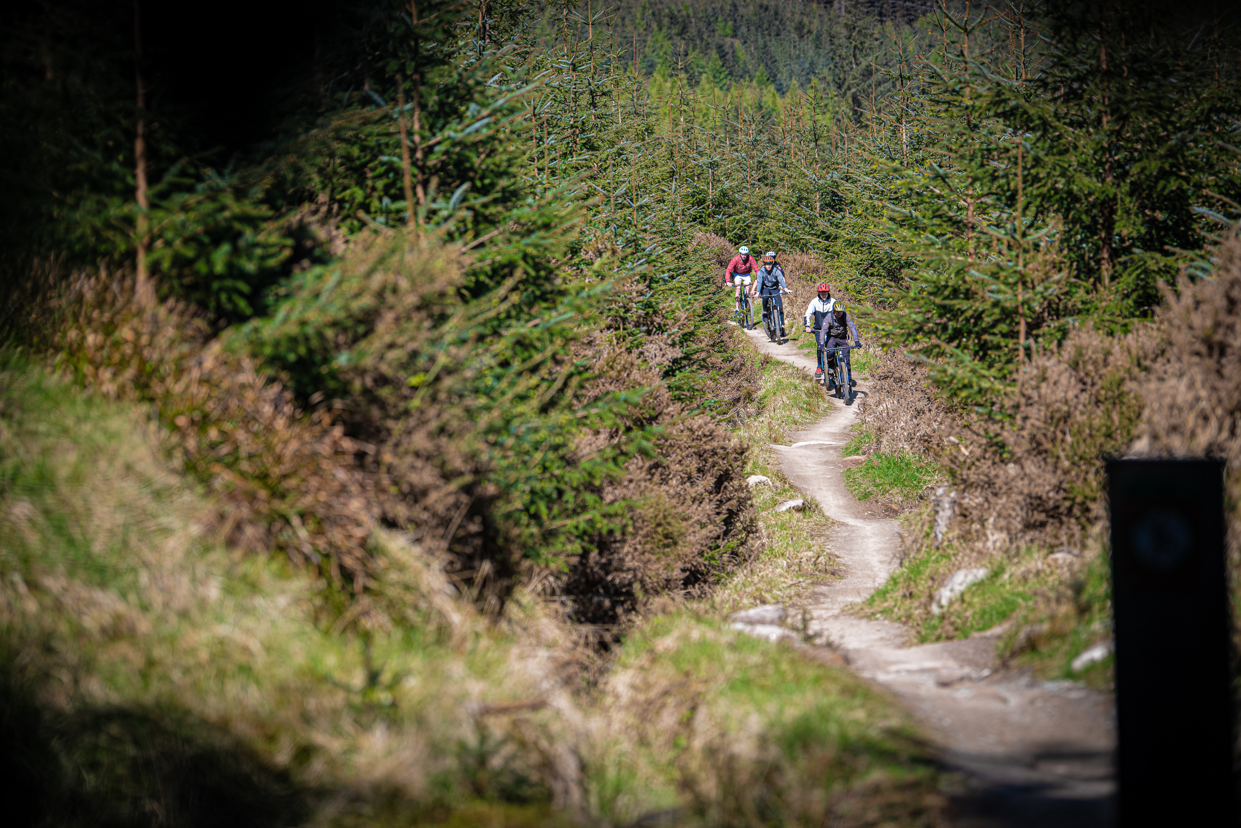 Biking.ie - Bike rental, cafe & trails at Ticknock
