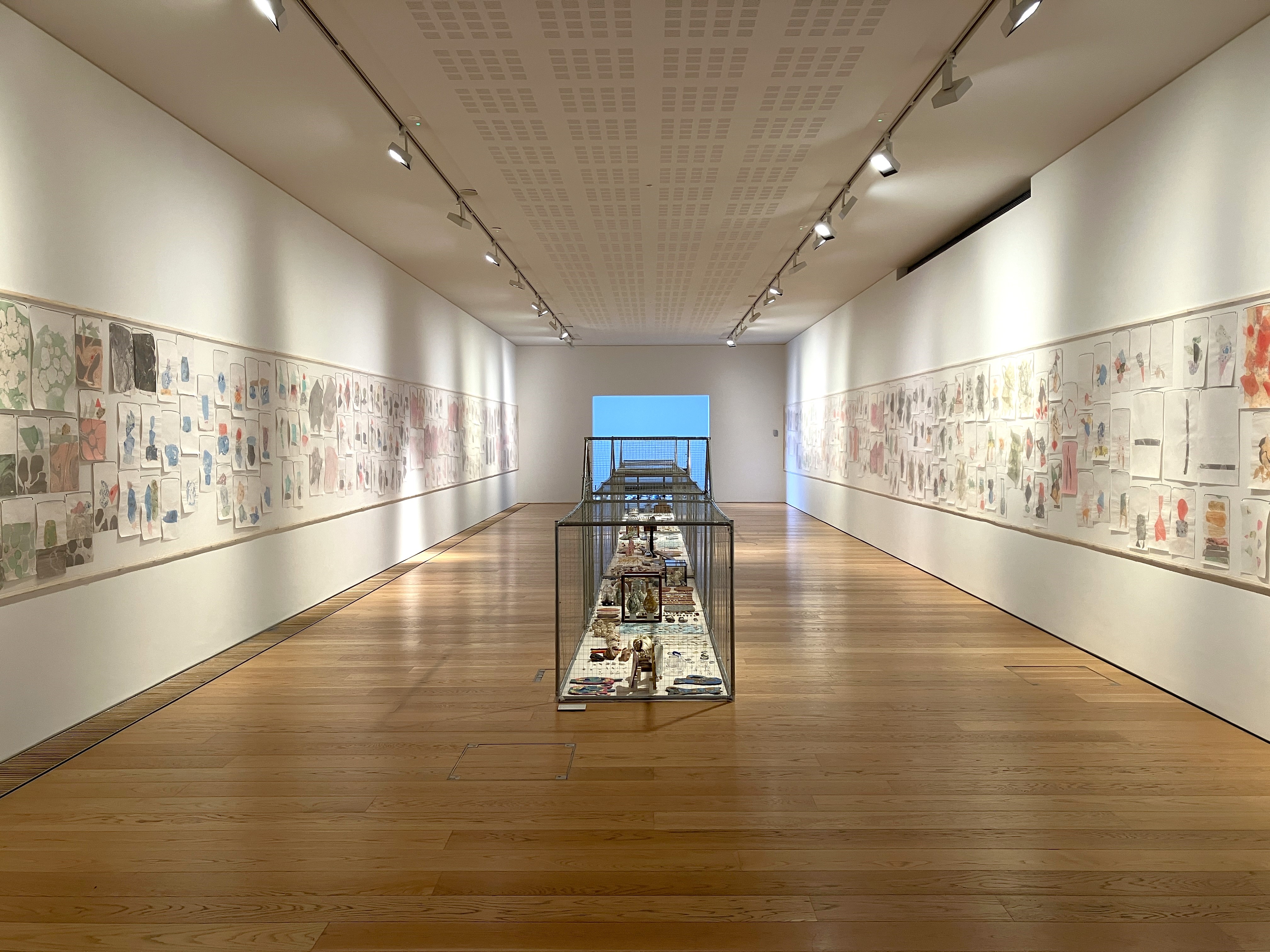 Photo of the Gallery in dlr LexIcon. A long white room with paper artworks pinned to the walls on the left and right of the room. In the middle of the room is a long metal cage containing lots of small items.