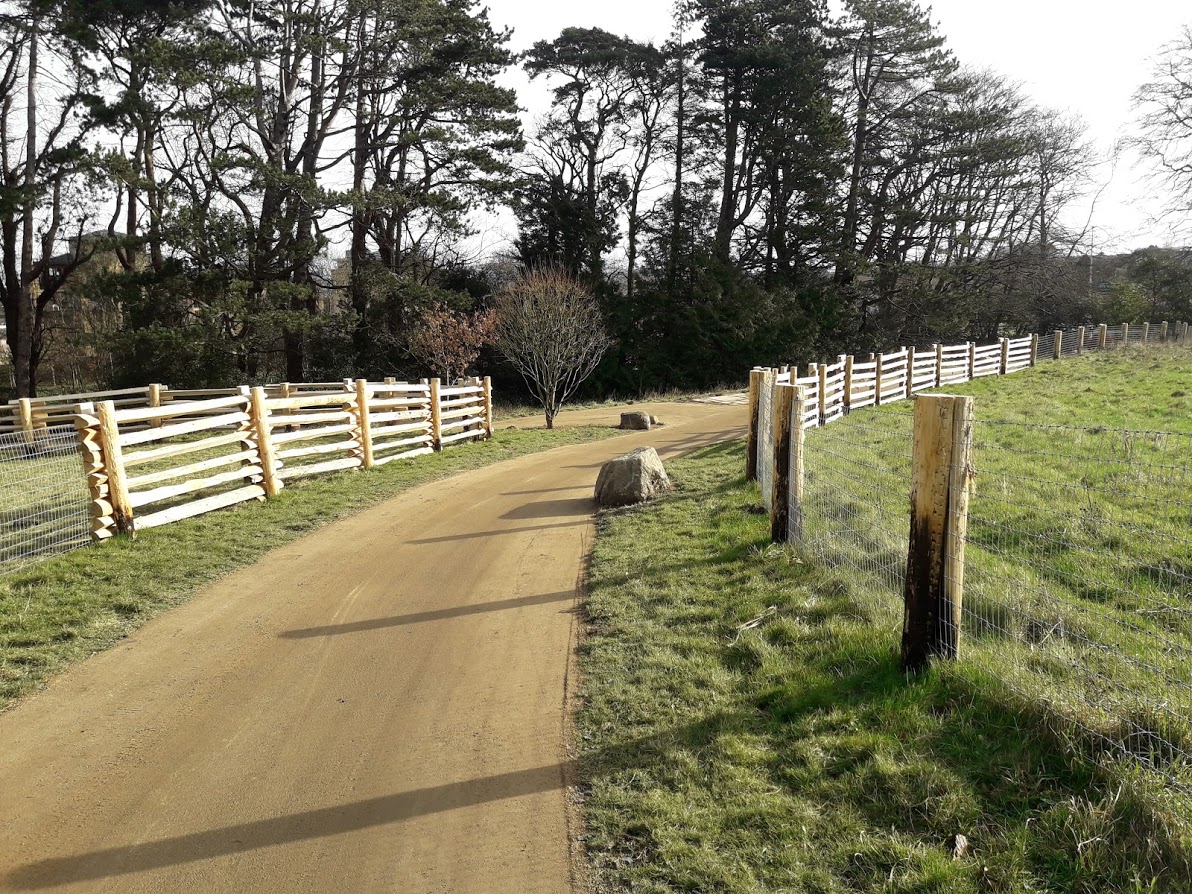 Fernhill Park and Gardens