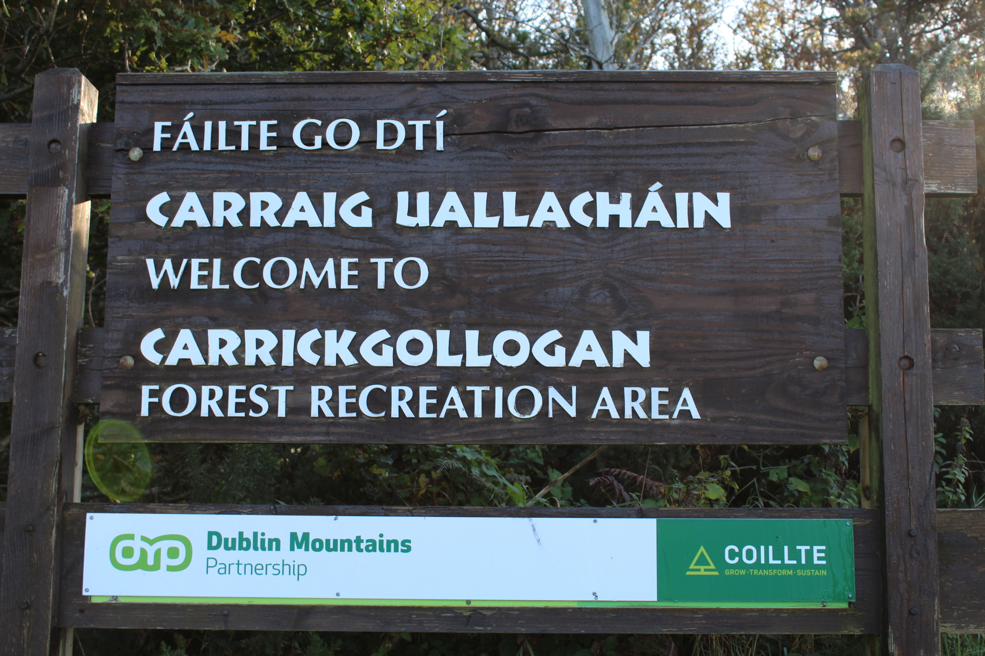 Carrickgollogan Wood