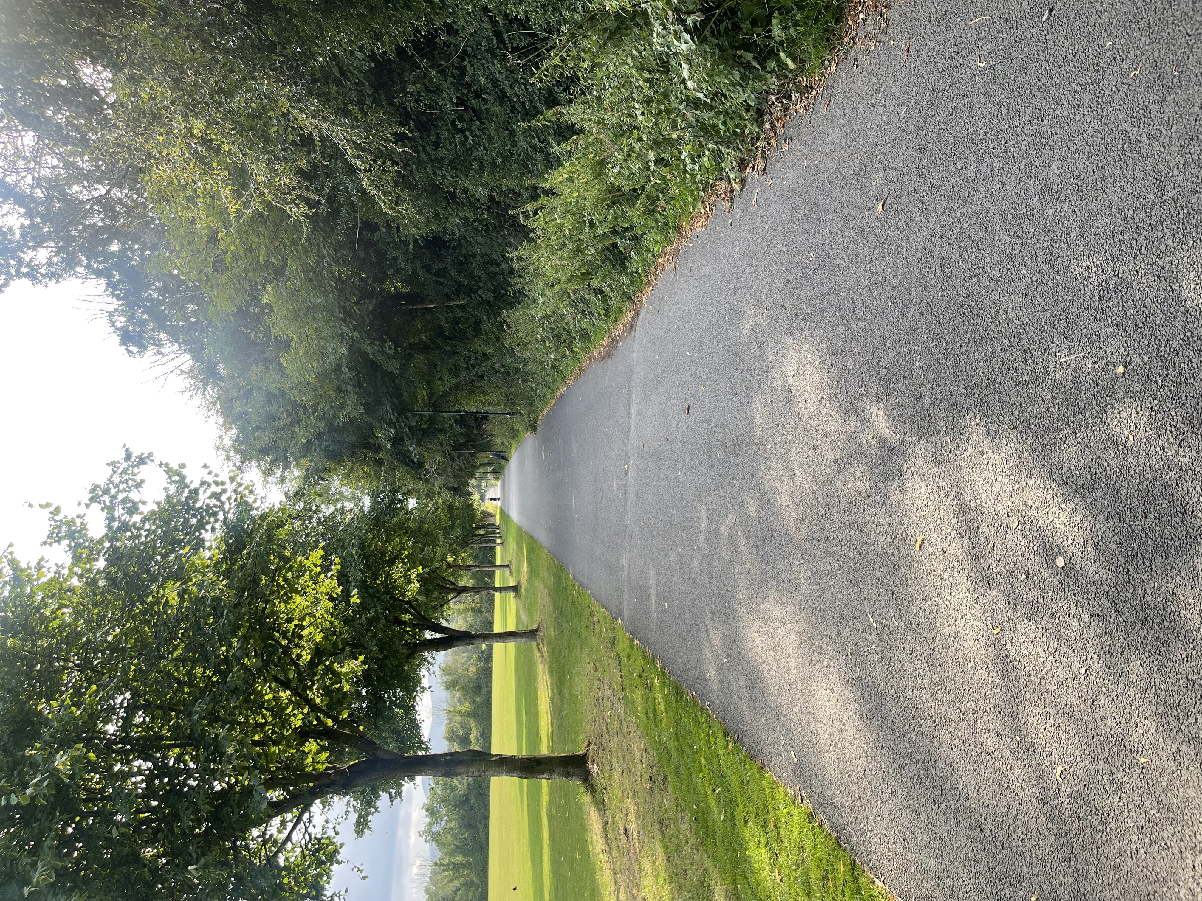 Walk pathway