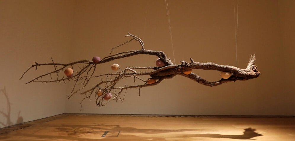 It’s considered unlucky to bring a hawthorn branch inside, or to cut one down, 2023, by Joanna Hopkins. Photo by Mark Stedman.