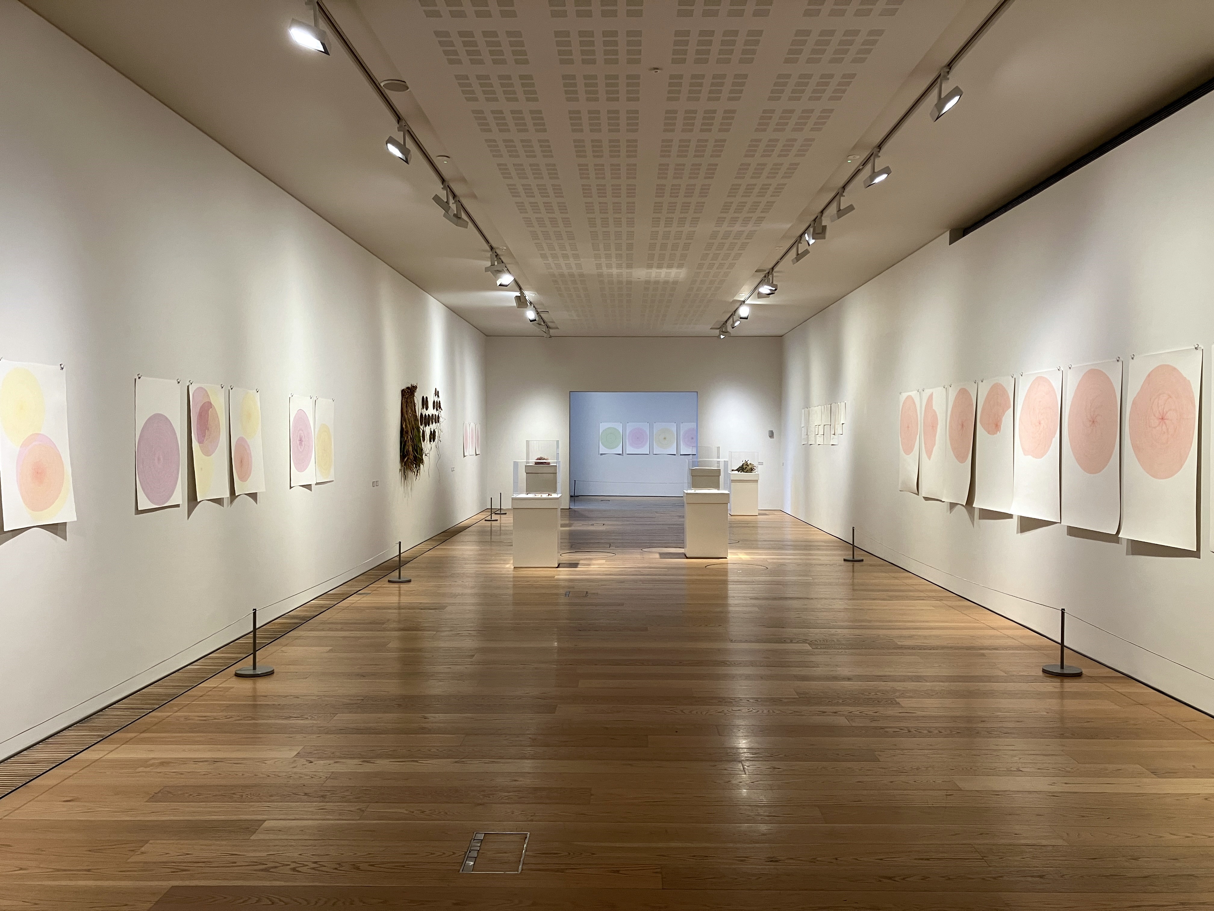 a long gallery with white walls and a wooden floor. on either side there are large pieces of paper pinned to the wall