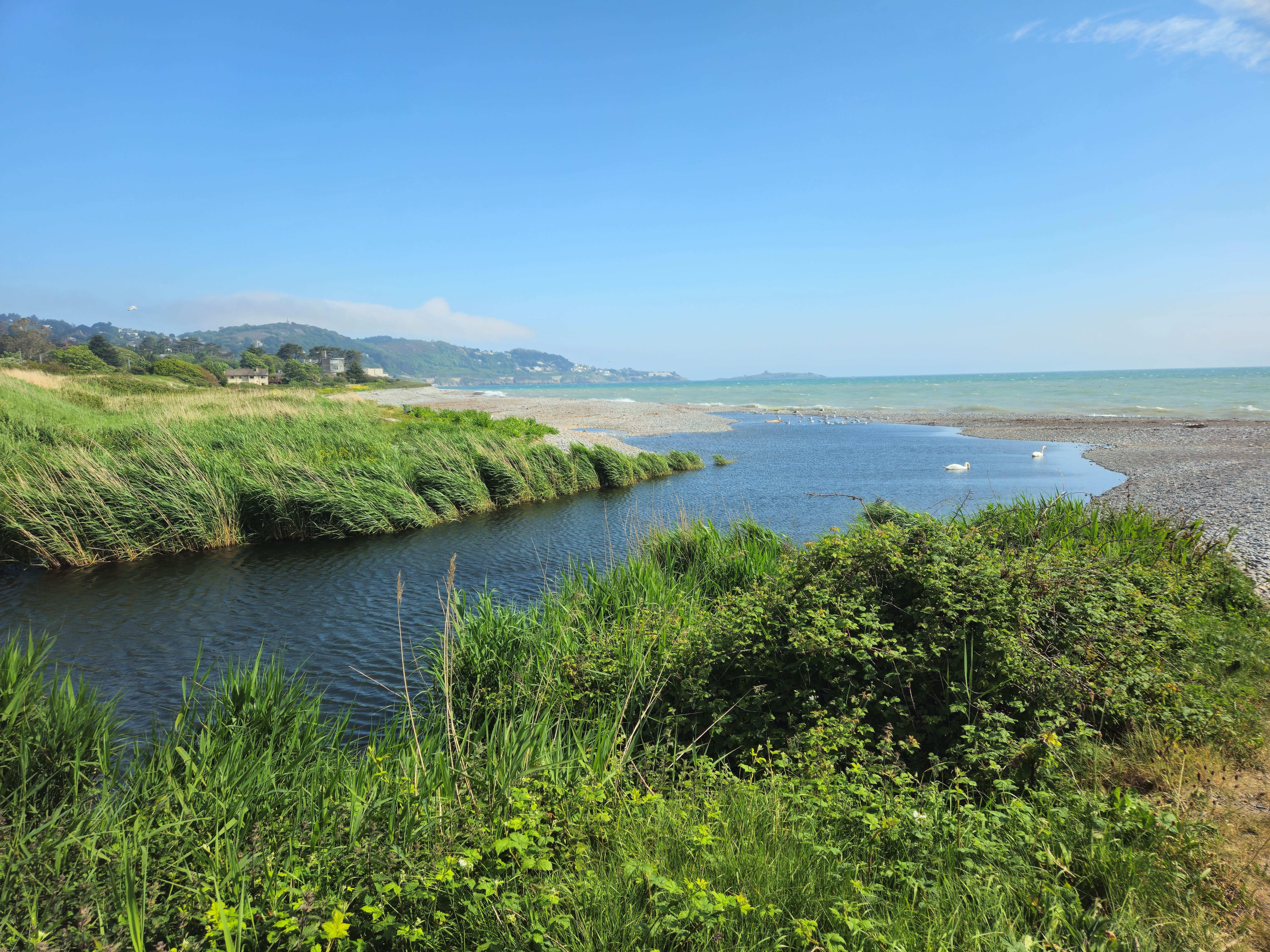 Photo: Shanganagh Beach
